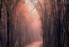 欧冠国际米蘭(lán)完胜本菲卡(kǎ)，盧(lú)卡(kǎ)库状态回升