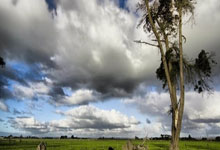 欧冠联赛上演进球盛宴