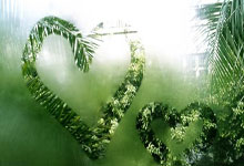 今晨欧冠联賽(sài)上演進(jìn)球盛宴