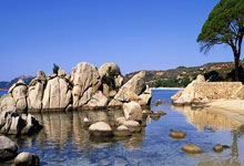 国际米兰欧冠被马竞绝杀全员评分